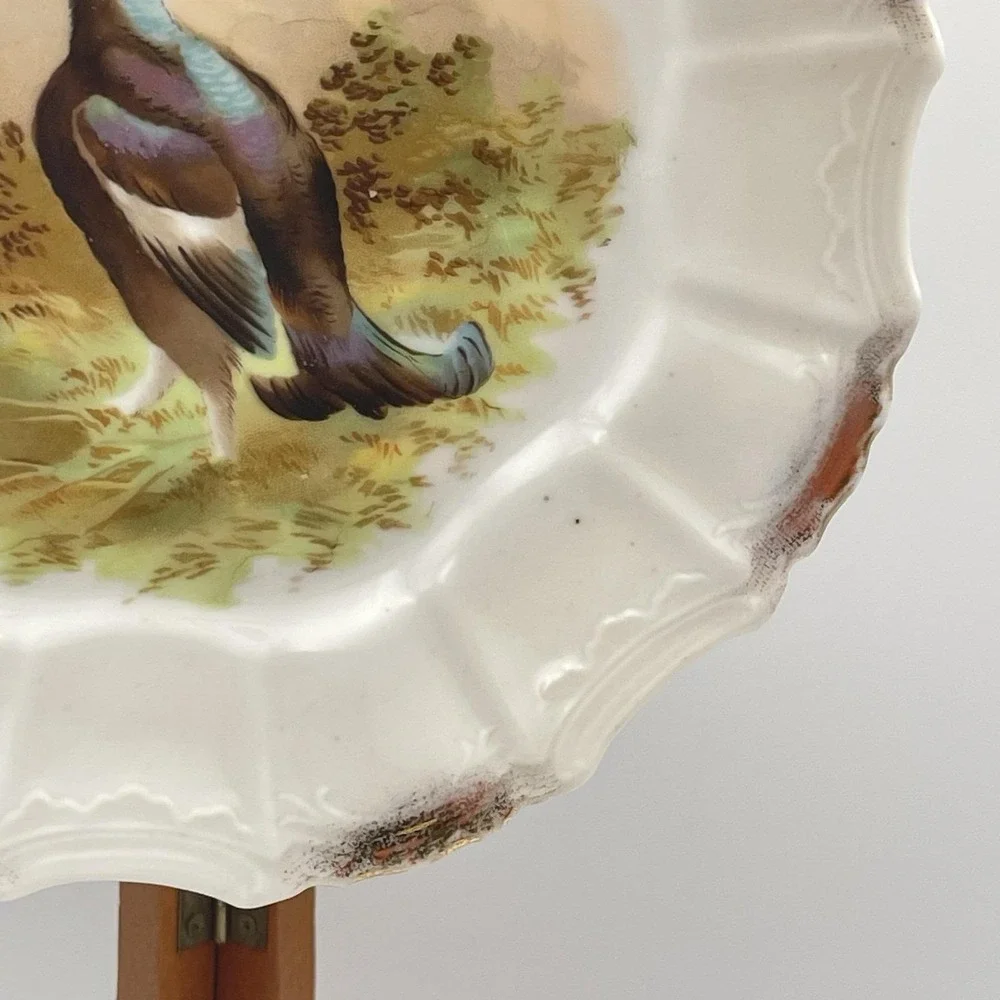 Antique 1920s Silesia‎ Germany Game Bird Scenic Porcelain Cabinet Plate 8